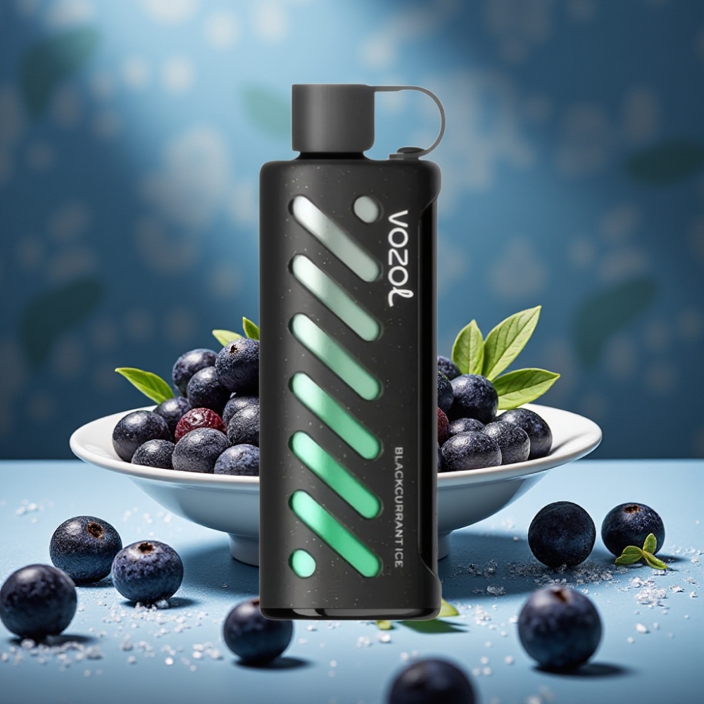 VOZOL Gear Shisha 25000 Puffs Schwarzjohannisbeere-Eis S.i.L.C Tech Dual Mesh 1000mAh 5mg/ml