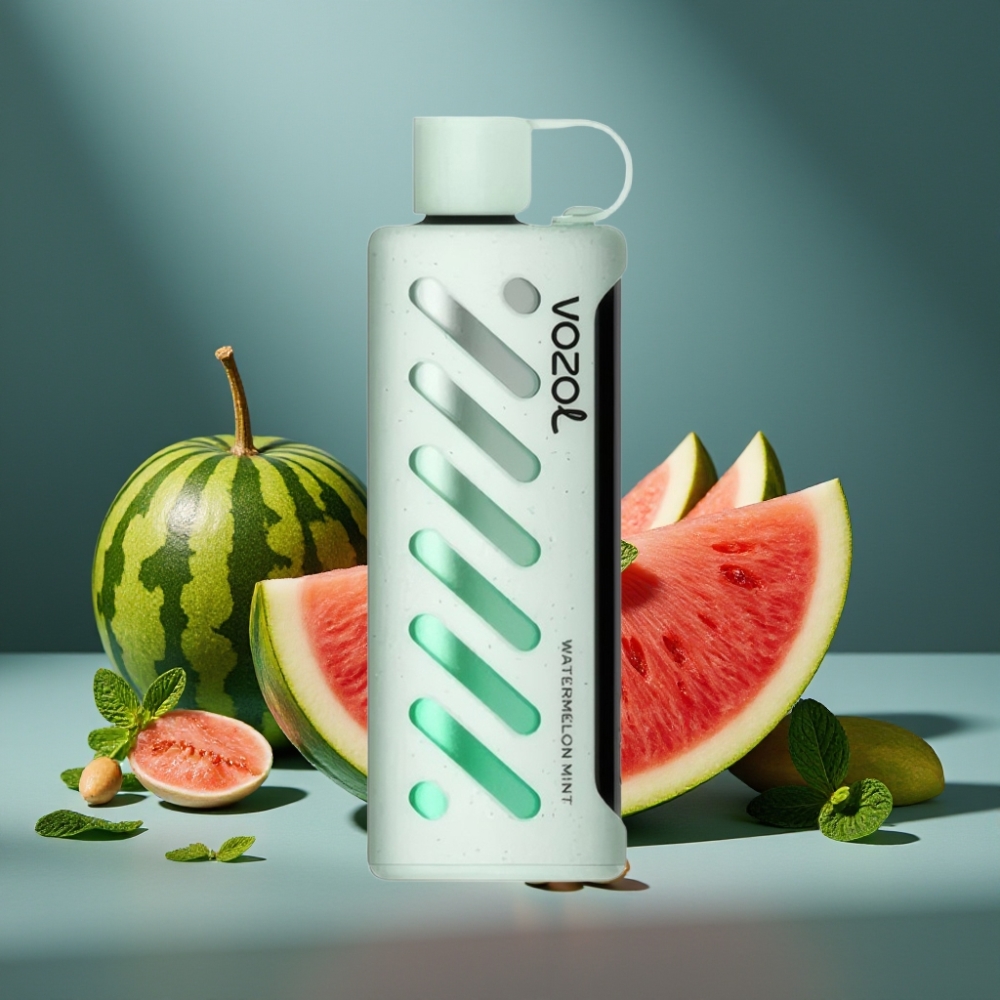 VOZOL Gear Shisha 25000 Puffs Wasserminze Smart Chip S.i.L.C Tech Dual Mesh 1000mAh 5mg/ml