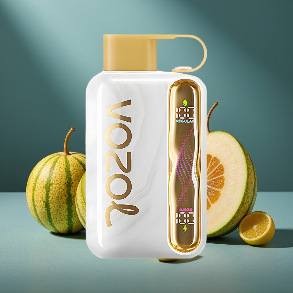 VOZOL STAR 40000 Puffs Einweg-Vape Melonenkaugummi 1000mAh Typ-C 20/50mg/ml