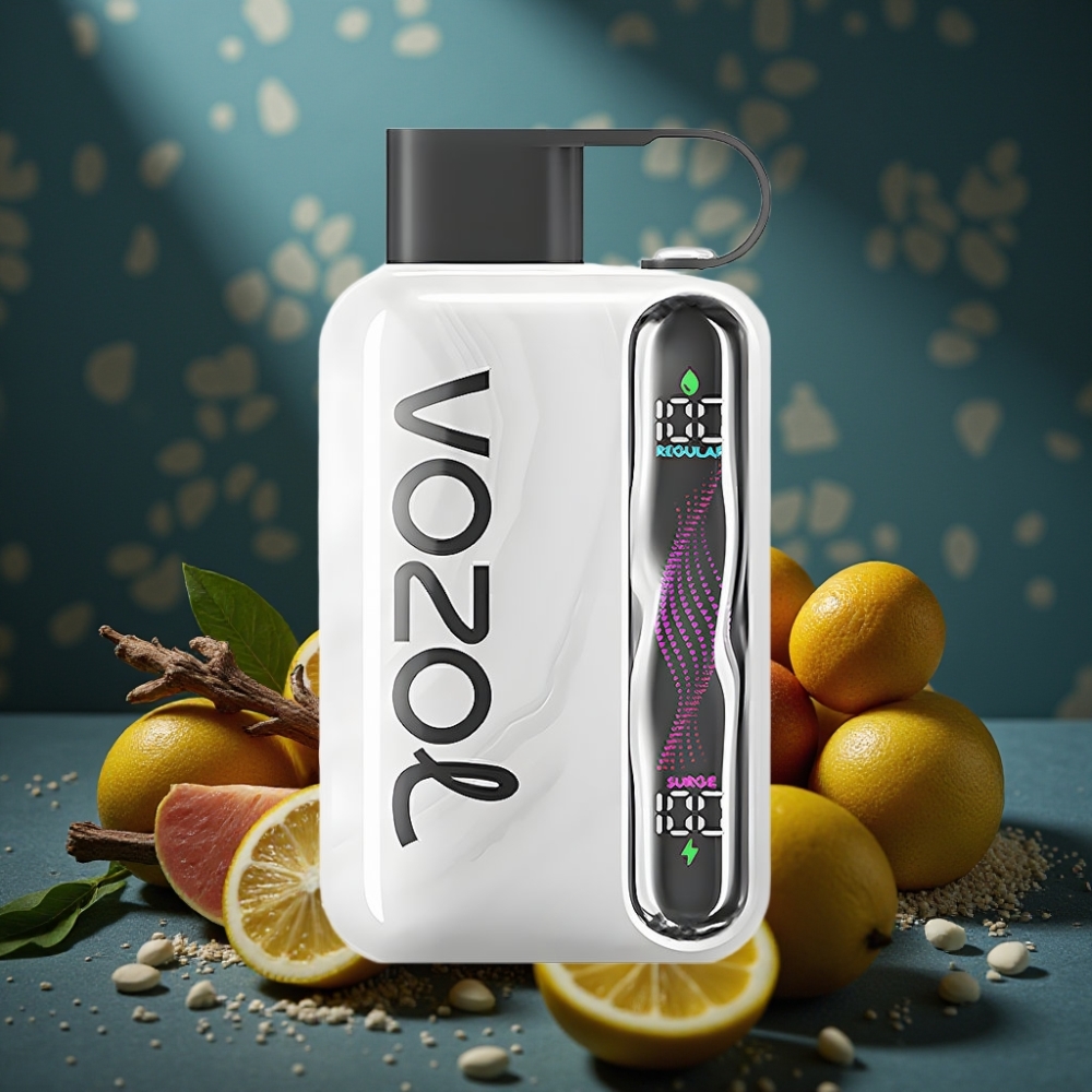 VOZOL STAR 40000 Puffs Tabak Einweg-Vape mit 1000mAh Akku & Type-C