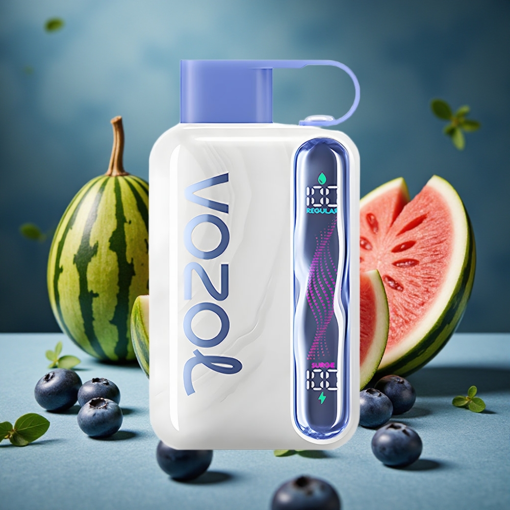 VOZOL STAR 40000 Puffs Wegwerf-Vape Blaubeere Wassermelone 1000mAh Typ-C 20/50mg/ml