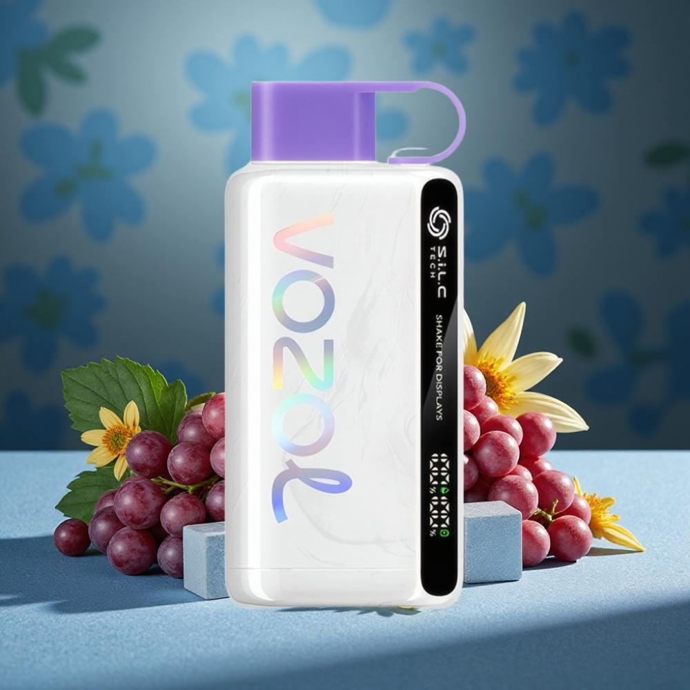 VOZOL STAR 9000/12000 Wegwerf-E-Zigarette Grape-Eis mit 650mAh, S.i.L.C TECH, 30% schnellere Aufladung