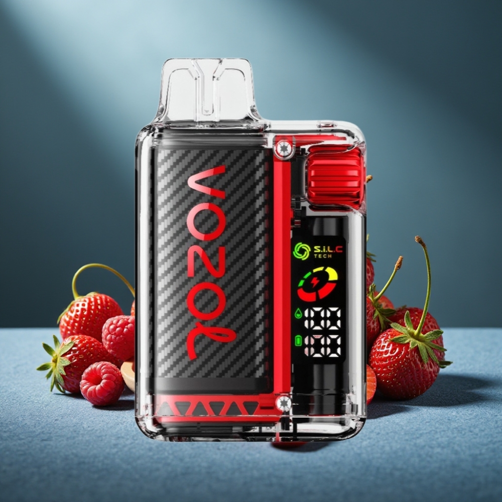 VOZOL Vista 20000 Züge Erdbeere Himbeere Kirsche Wiederaufladbar 650mAh OLED Dual Mesh Coil 6-Stufen TPD