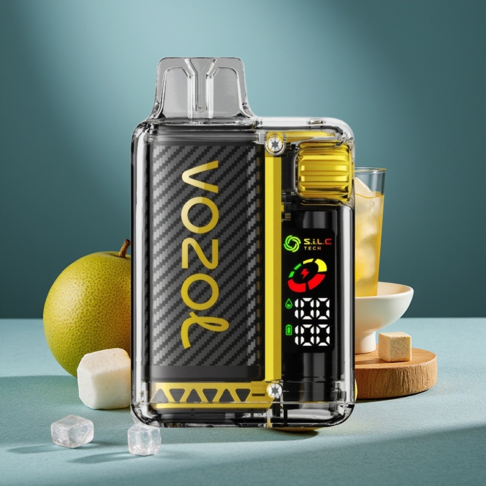 VOZOL Vista 20000 Züge wiederverwendbar mit OLED Display Mango-Eis 650mAh Akku 2% Nikotin S.i.L.C Dual Mesh Coil TPD-konform