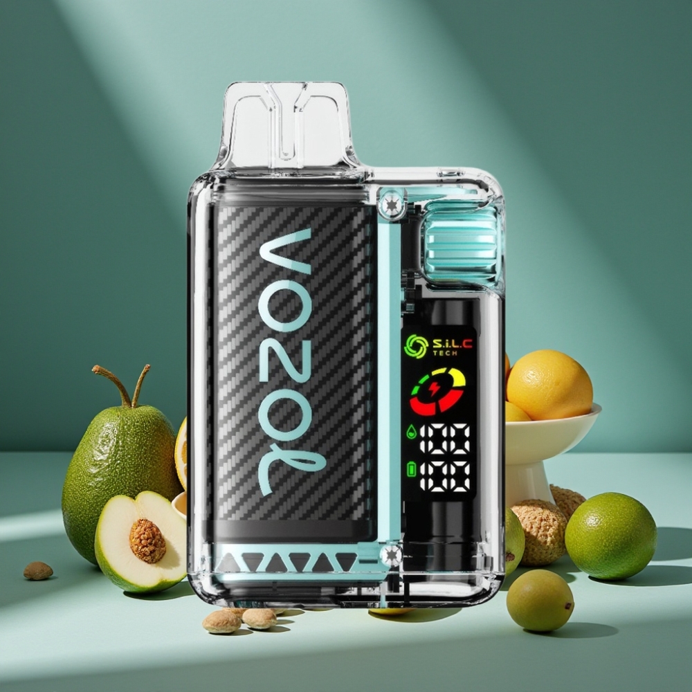 VOZOL Vista 20000 Züge wiederverwendbares Kit Miami Minze 650mAh OLED 6-Stufen S.i.L.C Dual Mesh Coil