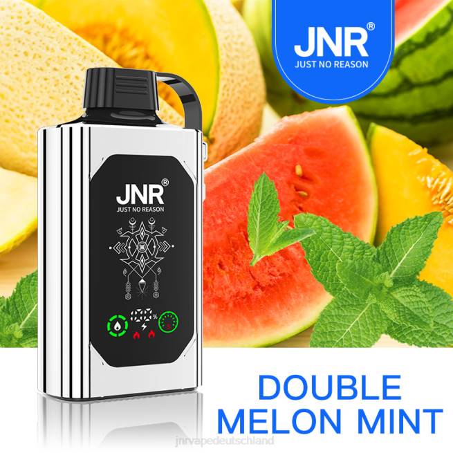 JNR SHISHA Kasten doppelte Melonenminze N6FZ89 JNR Vape Kaufen